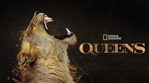 Cum Queens (2024) .